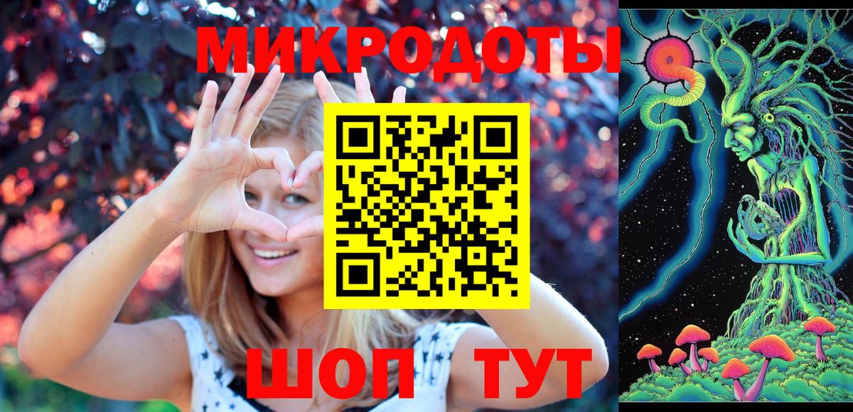 Псилоцибиновые грибы прущие грибы Тихвин